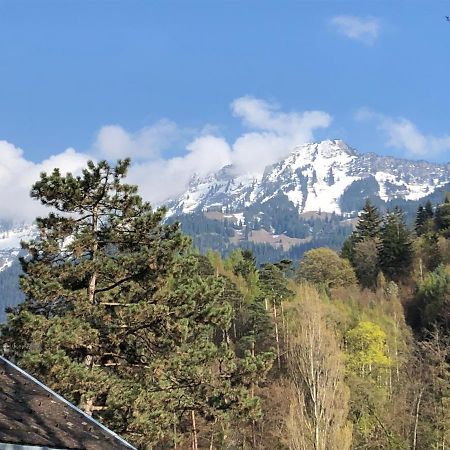 Grosszuegige Ferienwohnung Fuer 4 Personen Interlaken Exteriör bild